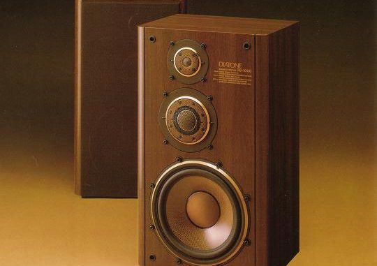DS-1000